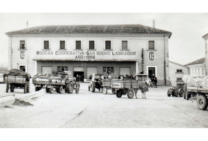 70 Años de Historia: Viñedos de Aldeanueva, el Corazón de Fincas de Azabache