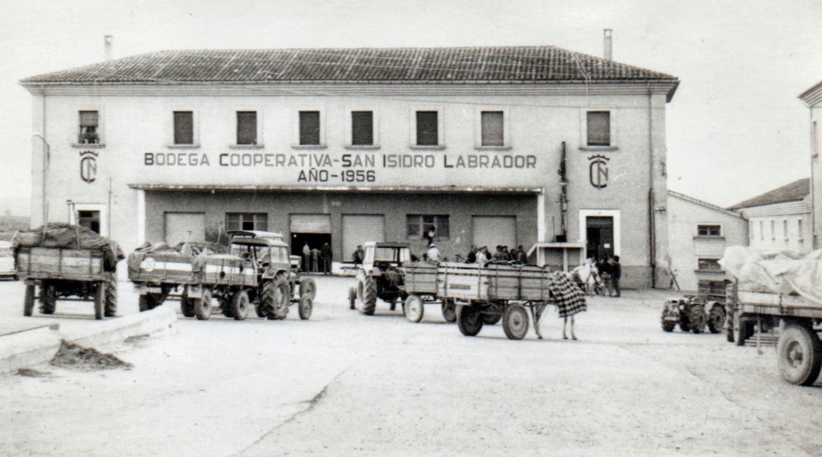 Fincas de Azabache: Celebrating 70 Years of Viñedos de Aldeanueva